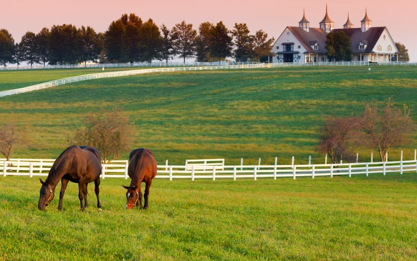 Lexington